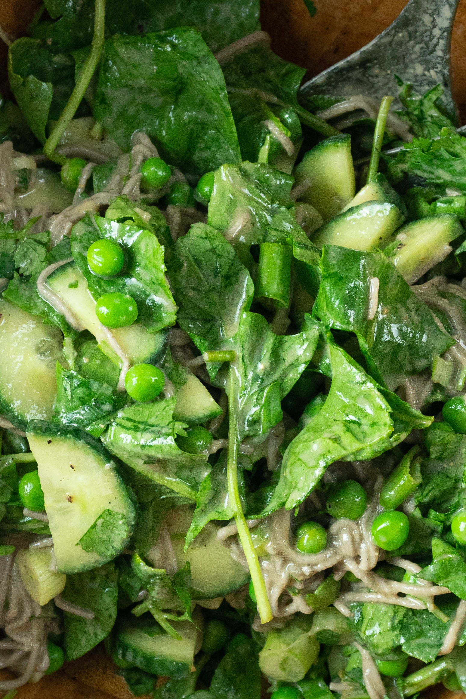 Perfect Soba Noodle salad photographed up close