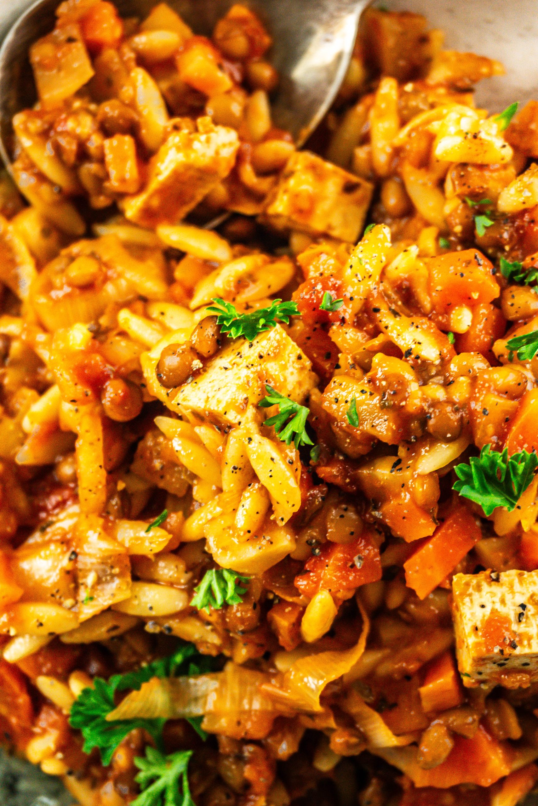 Comforting Tomato Noodle Soup; photographed up close
